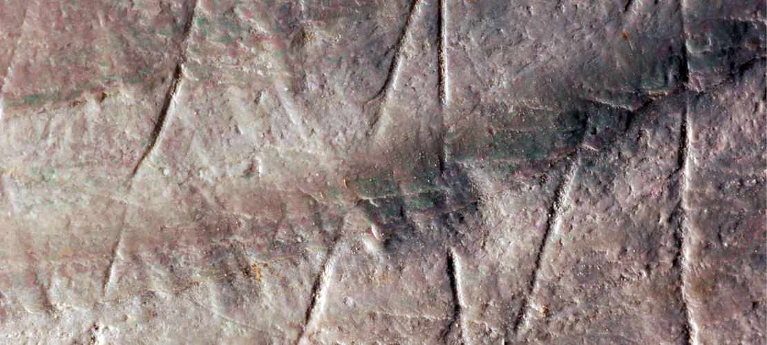 Uralte Muschel-Muster