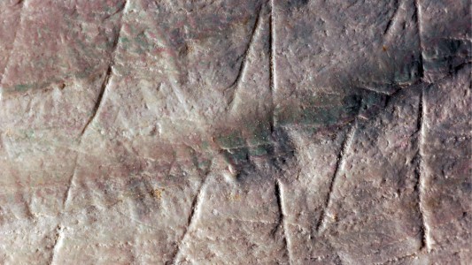 Uralte Muschel-Muster