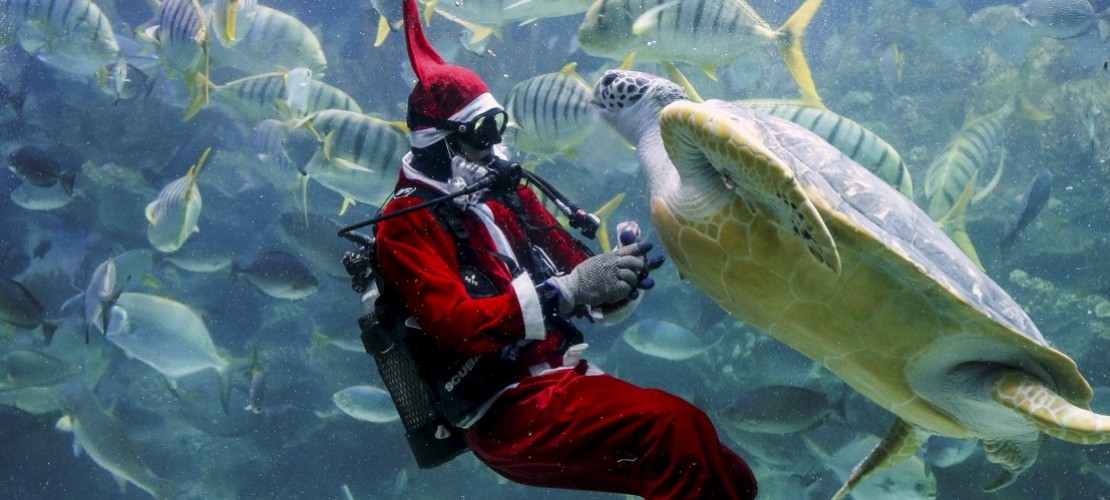 Abgetauchter Weihnachtsmann
