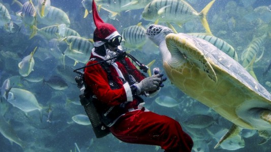 Abgetauchter Weihnachtsmann