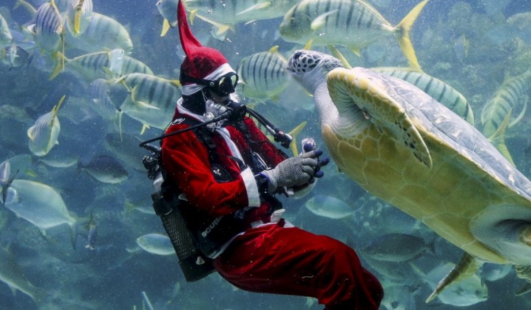 Abgetauchter Weihnachtsmann