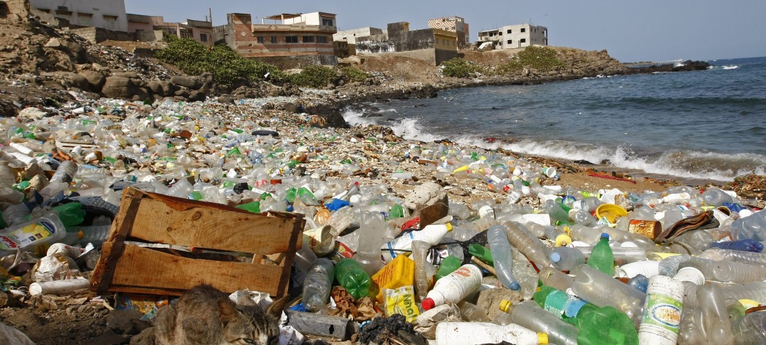 Kinder wissen viel über Meere