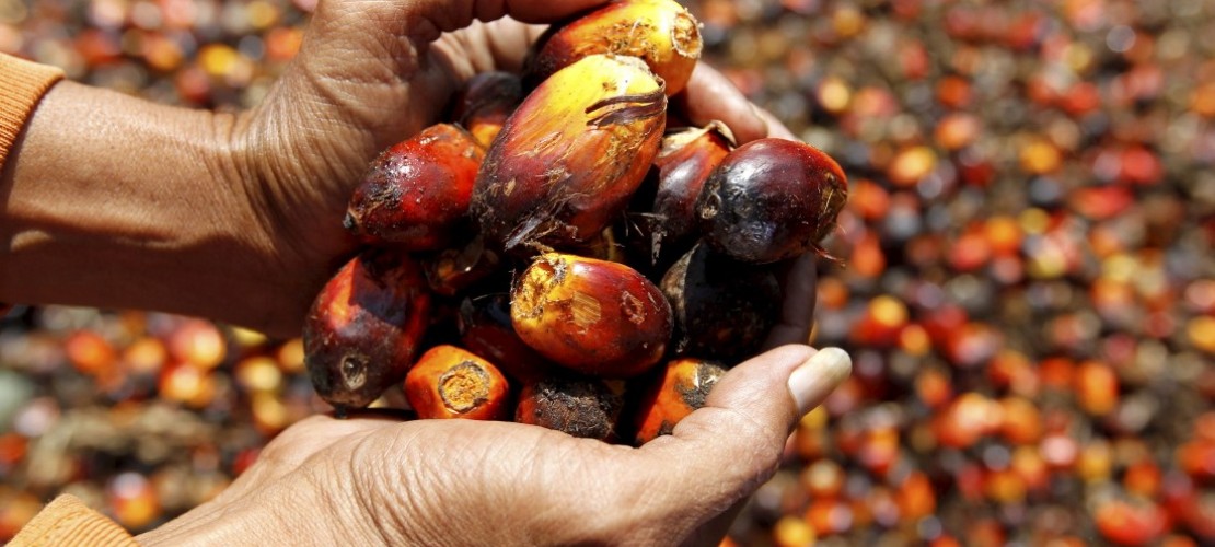 In welcher Pizza steckt Palmöl?