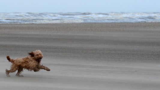 Achtung, Wind!
