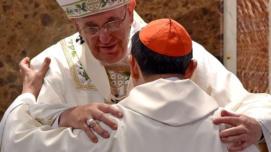 Was ist eine Pileolus?