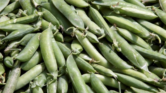 Was ist die Genetik?