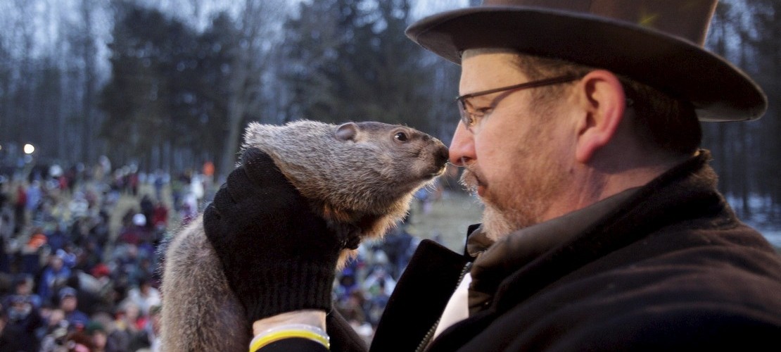 Gerade flüstert Phil dem Chef des Groundhog-Club zu, wann der Winter endet. Das glauben zumindest manche Amerikaner. (Foto: dpa)