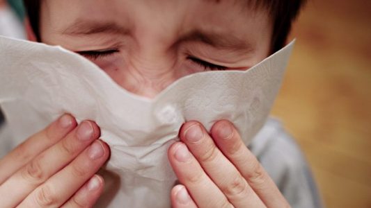 Hatschi! Viele Menschen haben derzeit eine Erkältung oder eine Grippe. (Foto: dpa)