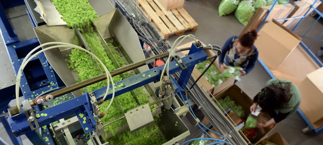 So wird Konfetti in der Fabrik hergestellt