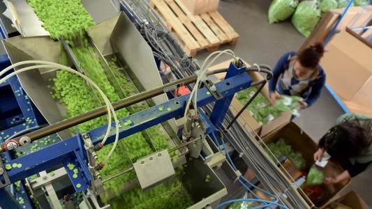 So wird Konfetti in der Fabrik hergestellt