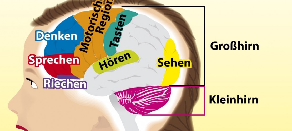 Besser als jeder Computer: So funktioniert dein Gehirn