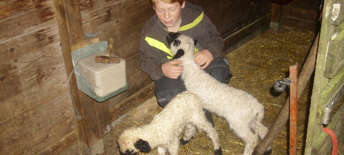 Bedrohte Tierarten