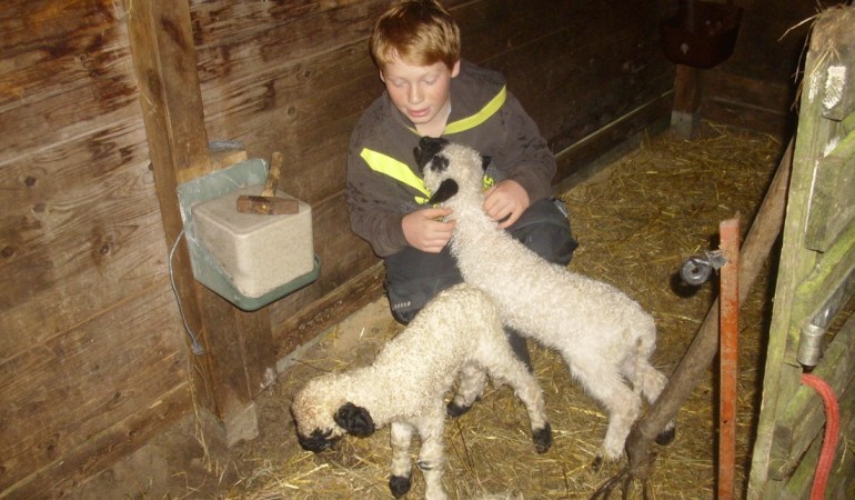 Bedrohte Tierarten