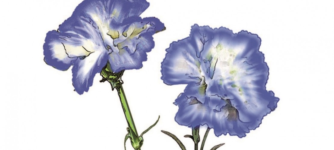 Mit ein bisschen Tinte... Wird aus einer Schnittblume mit hellen Blüten eine Blume mit dunklen Blüten. (Foto: Verlag)