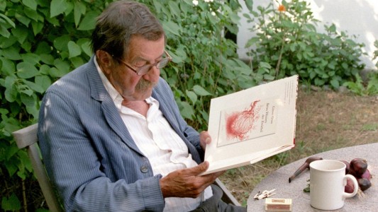 Das ist der Schriftsteller Günter Grass. Hier sitzt er im Garten seines Ferienhauses in dem Land Dänemark. (Foto: dpa)