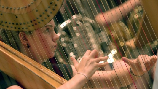 Instrumente-Serie: So spielt man eine Harfe