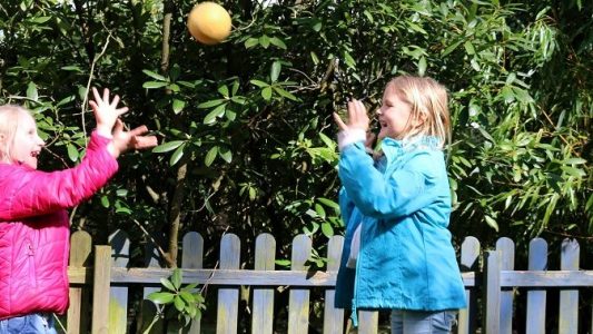 Es muss nicht immer ein richtiger Ball sein. Es macht auch Spaß, mit Melonen oder Äpfeln fangen zu spielen. Und danach könnt ihr die «Bälle» dann gleich essen. (Foto: dpa)