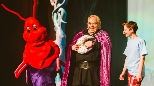 Das Musical „Im Land der Träume” fällt aus