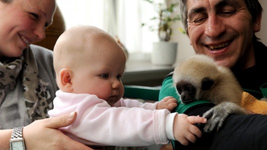 Wenn ein Affe und ein Mädchen Freunde werden