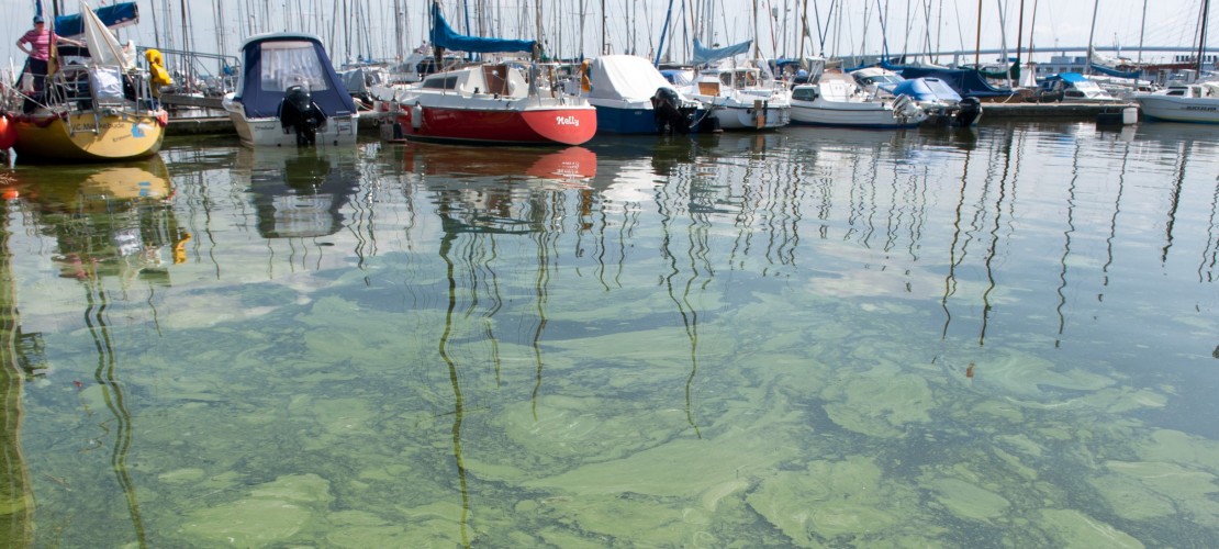 Warum kippt ein See um?