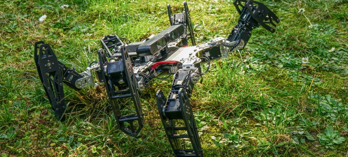 Ein Roboter, der humpelt