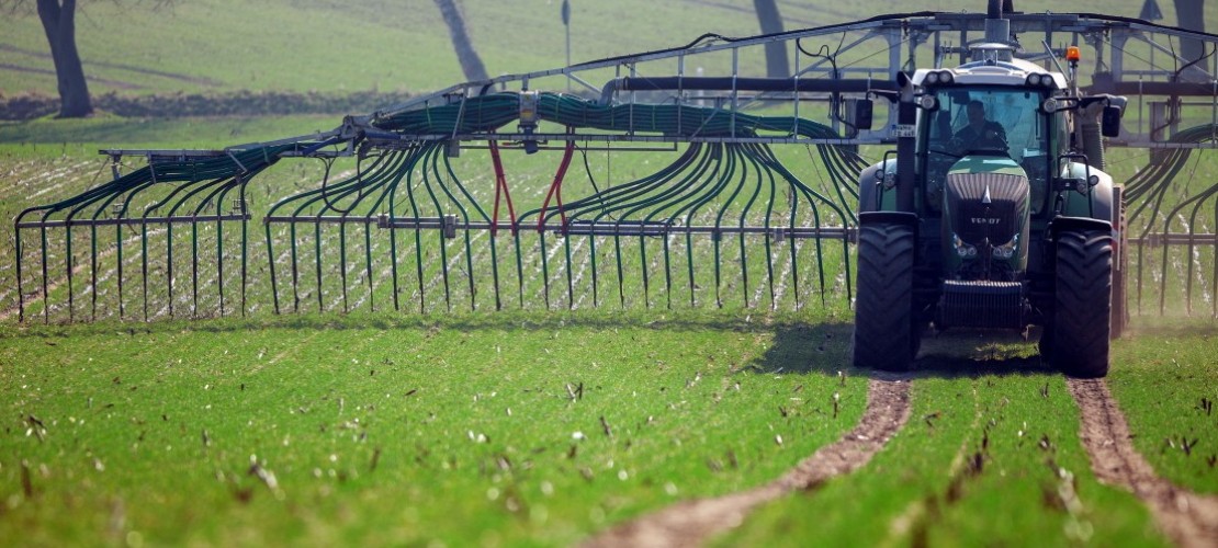 Internationales Jahr des Bodens