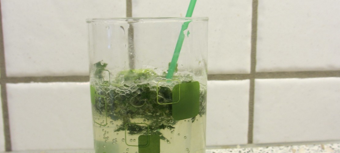 Mhhh lecker! Probiere doch auch einmal Salbei-Pfefferminz-Limonade (Foto: Sommersberg)
