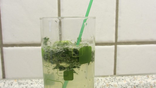 Mhhh lecker! Probiere doch auch einmal Salbei-Pfefferminz-Limonade (Foto: Sommersberg)