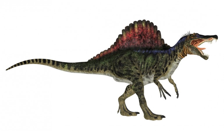 Spinosaurus