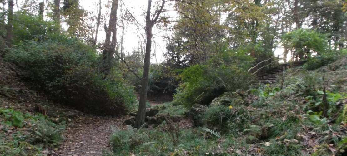 Fine beschreibt euch, wie ihr diese schöne Schlucht findet. (Foto: FIne)