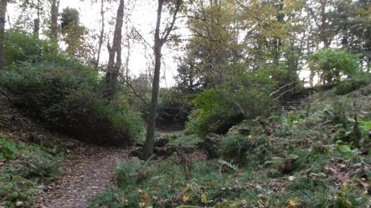 Fine beschreibt euch, wie ihr diese schöne Schlucht findet. (Foto: FIne)