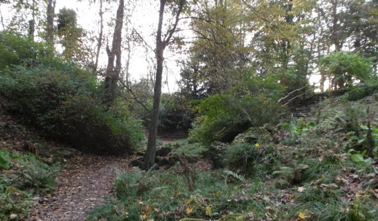 Fine beschreibt euch, wie ihr diese schöne Schlucht findet. (Foto: FIne)