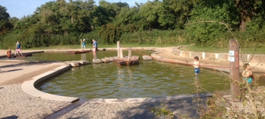 An der Gymnicher Mühle gibt es viel Wasser zum Spielen und Planschen. (Foto: Lea-Zoé)