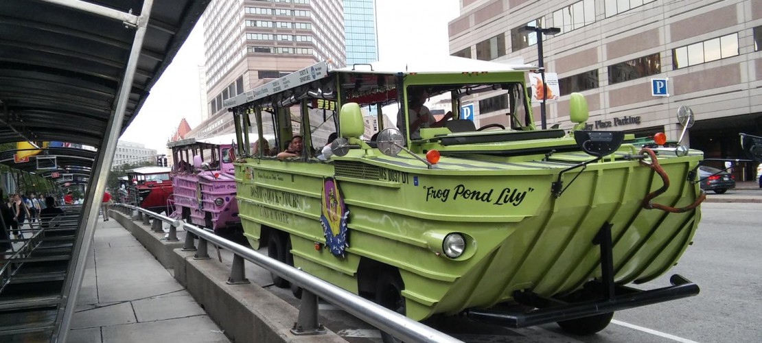 Mit der Duck im Wasser und an Land