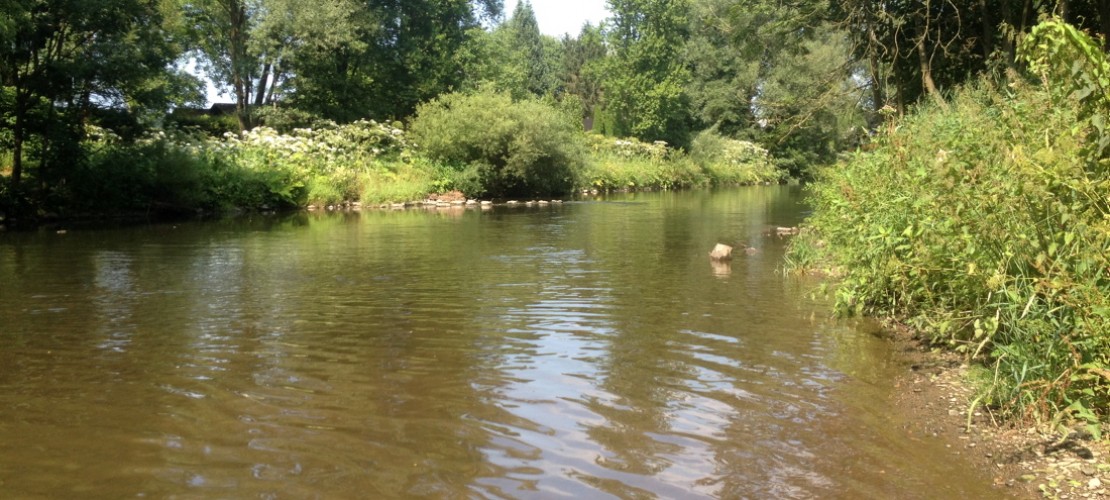 An der Agger kann man schwimmen. Aber auch euren Ball und Essen für ein Picknick solltet ihr niht vergessen. (Foto: Carolin)