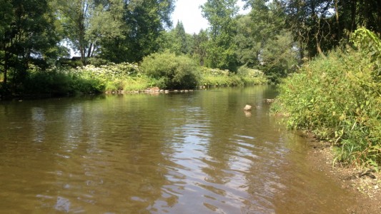 An der Agger kann man schwimmen. Aber auch euren Ball und Essen für ein Picknick solltet ihr niht vergessen. (Foto: Carolin)