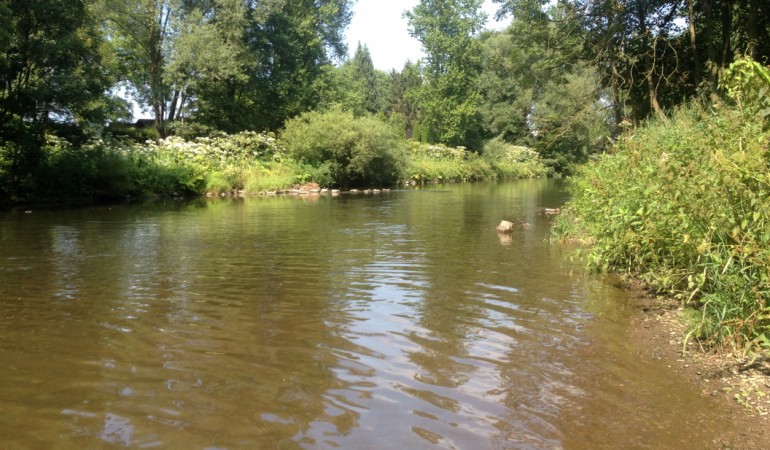 An der Agger kann man schwimmen. Aber auch euren Ball und Essen für ein Picknick solltet ihr niht vergessen. (Foto: Carolin)