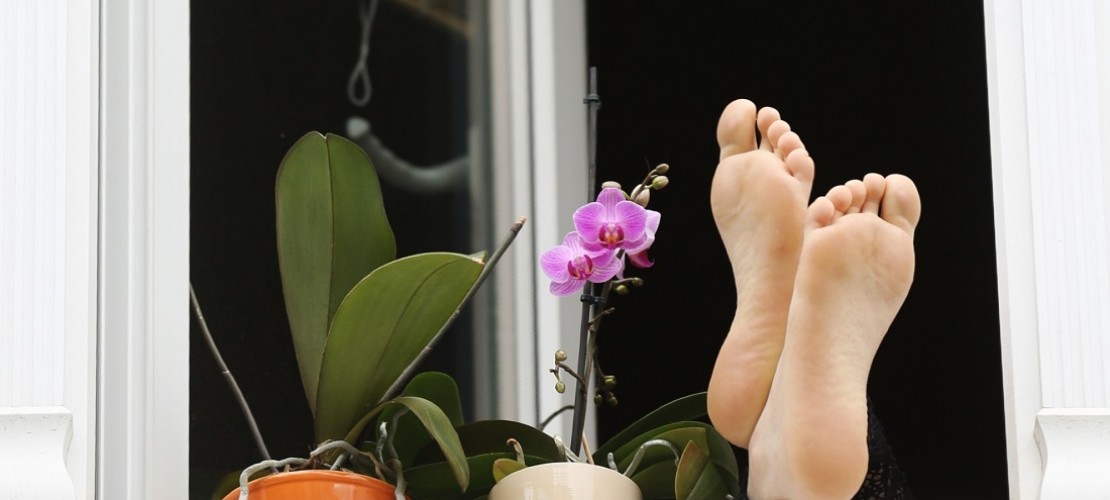 Im Fußball ist manchmal von einem Transferfenster die Rede. Die Füße rausstrecken kann man durch dieses Fenster aber nicht. Gemeint ist ein Zeitraum, in dem Fußballer ihren Verein wechseln dürfen. (Foto: dpa)