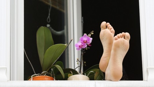 Im Fußball ist manchmal von einem Transferfenster die Rede. Die Füße rausstrecken kann man durch dieses Fenster aber nicht. Gemeint ist ein Zeitraum, in dem Fußballer ihren Verein wechseln dürfen. (Foto: dpa)