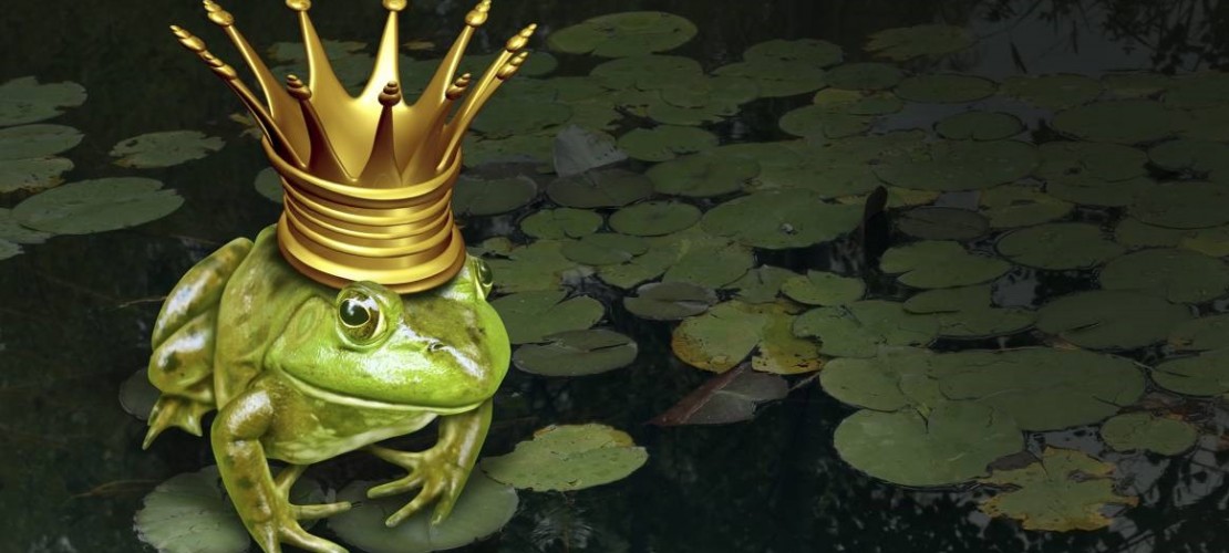 Nur eines von vielen Märchen: Der Froschkönig. (Foto: thinkstock)