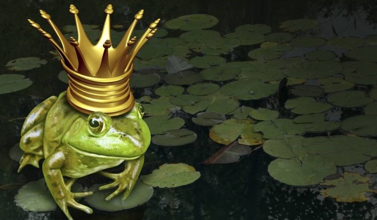 Nur eines von vielen Märchen: Der Froschkönig. (Foto: thinkstock)