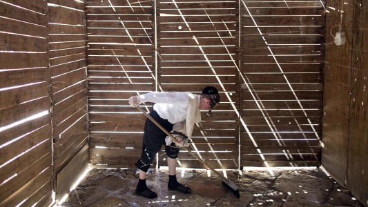 Eine Laubhütte nennt man Sukka. (Foto: dpa)