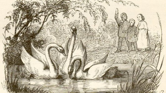 Mit dem hässlichen Entlein fühlt man sehr mit. Zum Glück hat das Märchen von Hans Christian Andersen ein gutes Ende. (Foto: „Duckling 03“, Wikipedia Commons)