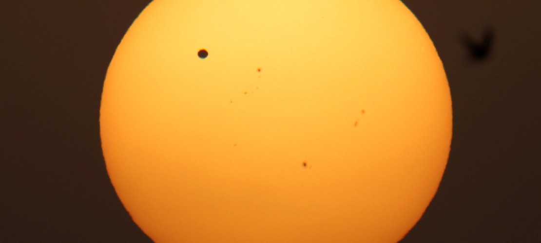 Höllisch heiß und voller Vulkane: Die Venus