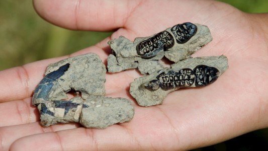 Überreste von Tieren, die vor mindestens 10.000 Jahren gelebt haben, nennt man Fossilien. Hier zum Beispiel die Zähne eines Säugetiers, das es heute gar nicht mehr gibt. Forscher vermuten aber, dass es wie ein Biber aussah. (Foto: dpa)