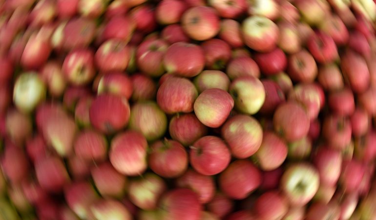 Mhhhh... Lecker! Und auch gesund: In einem Apfel stecken viele Vitamine und Mineralstoffe wie Phosphor, Kalzium, Magnesium und Eisen. (Foto: dpa)