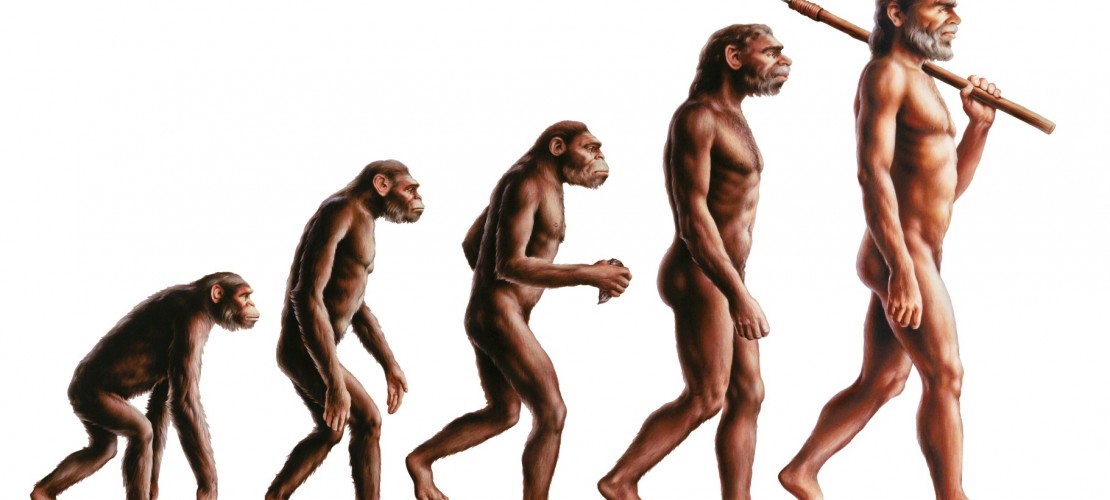 Der aufrechte Gang war wichtig, um zu überleben. (Foto: Fotolia)