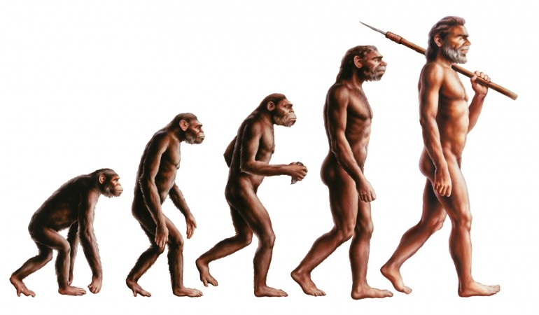 Der aufrechte Gang war wichtig, um zu überleben. (Foto: Fotolia)