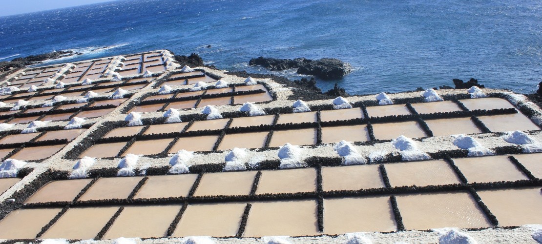 Saline-La-Palma