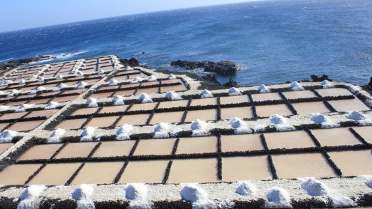 Saline-La-Palma